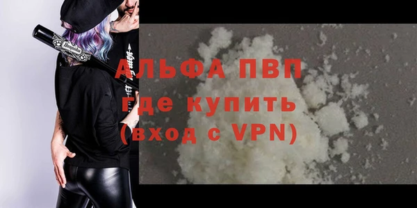 амф Новодвинск
