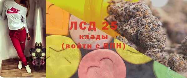 амф Новодвинск