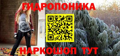 молекула духа Заволжье