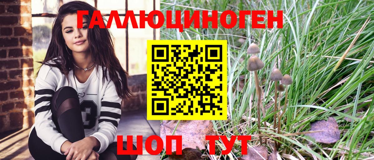 Псилоцибиновые грибы Psilocybine cubensis Майкоп