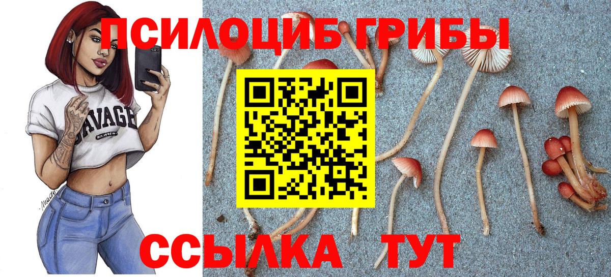 МАРИХУАНА Майкоп