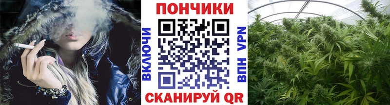 MEGA рабочий сайт  Майкоп  Каннабис SATIVA & INDICA 